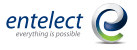 Entelect